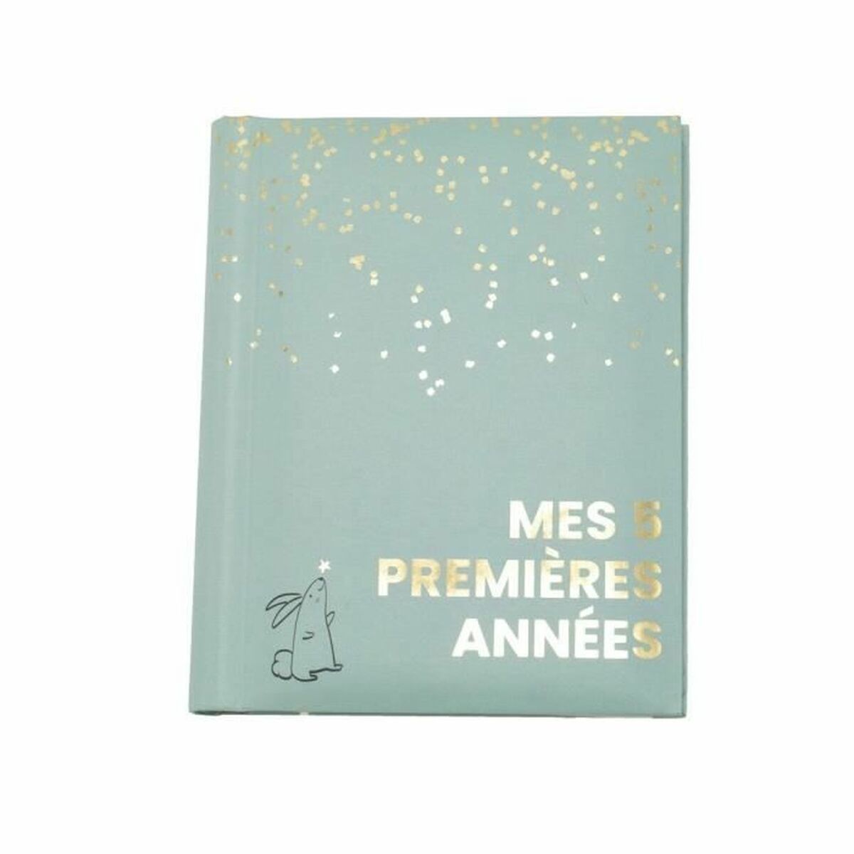 Álbum Domiva Mes 5 Premières Années con espacio para fotos y recuerdos del bebé.